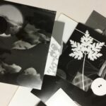 Fotogramm. Das Bild zeigt verschiedene Fotogramme übereinandergelegt von oben.