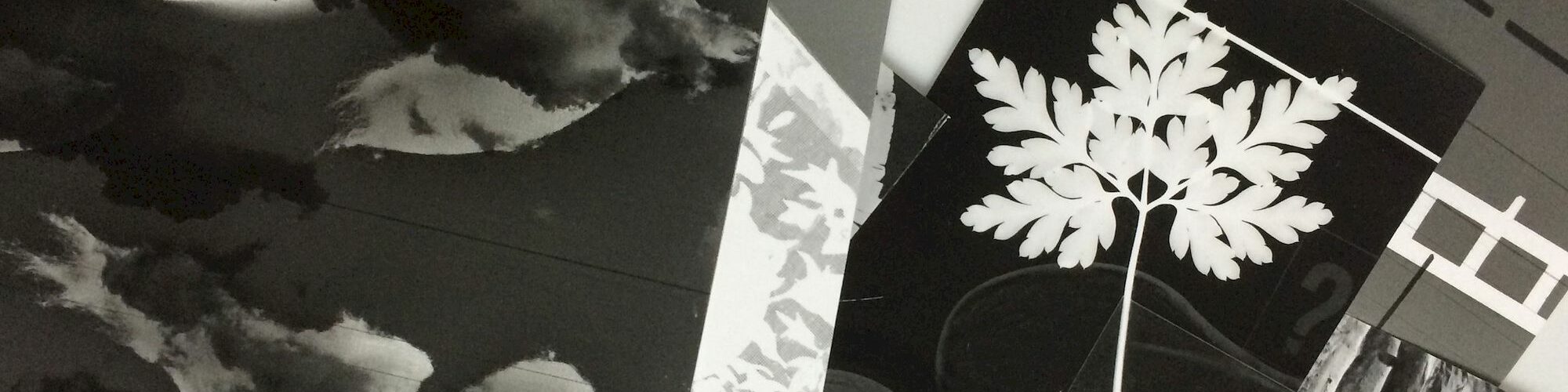 Fotogramm. Das Bild zeigt verschiedene Fotogramme übereinandergelegt von oben.