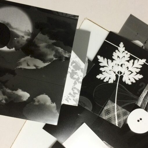 Fotogramm. Das Bild zeigt verschiedene Fotogramme übereinandergelegt von oben.