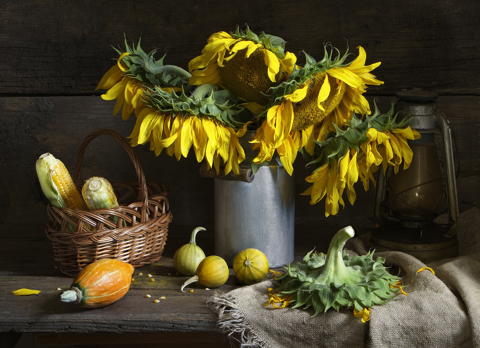 Ein Stillleben mit Sonnenblumen in einer Metalldose und einem Korb.