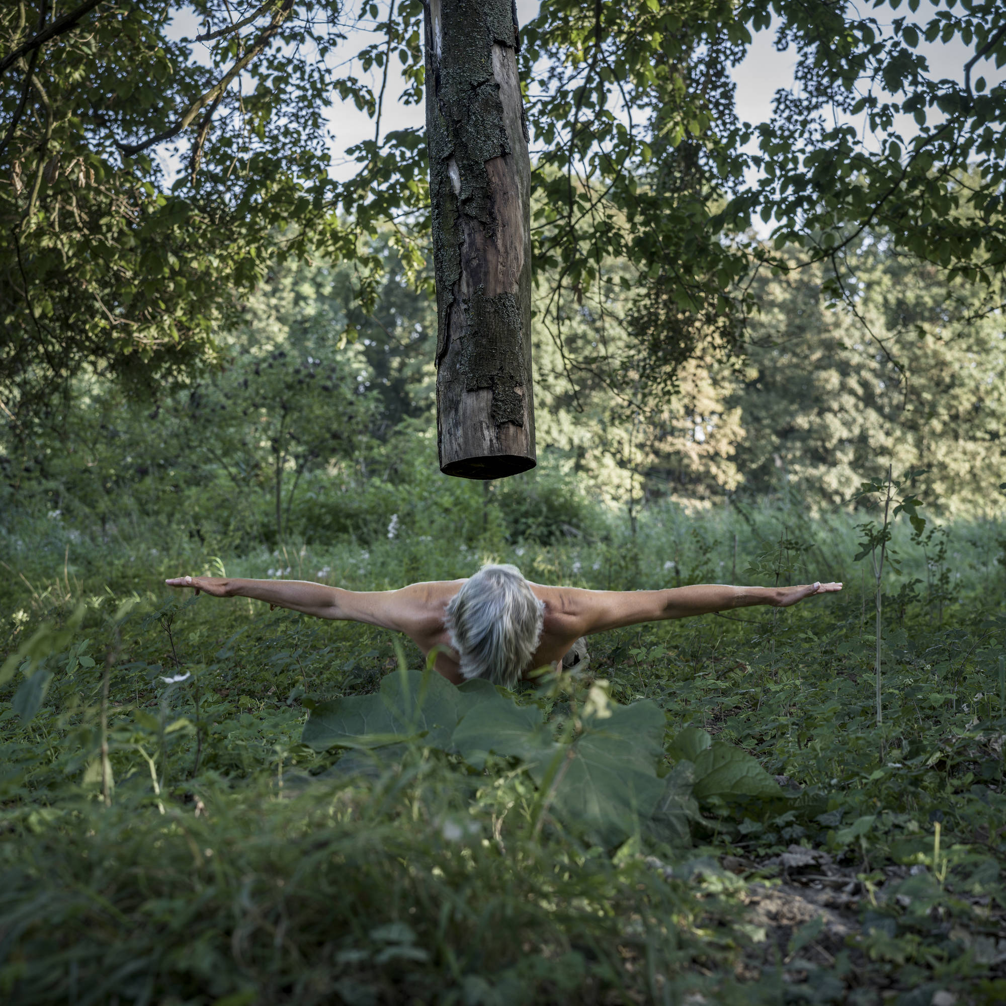 Eine Person mit grauen Haaren liegt mit ausgestreckten Armen mit dem Gesicht nach unten im Gras unter einem großen, hängenden Baumstamm in einer bewaldeten Landschaft. (KI generierte Beschreibung)