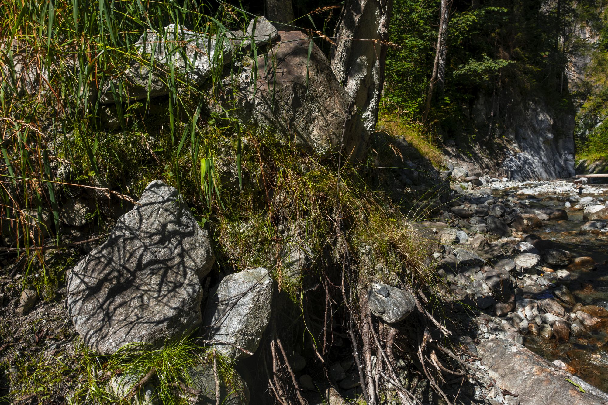 Felsen und Vegetation entlang eines kleinen Baches mit klarem Wasser. Sonnenlicht wirft Schatten auf die Felsen. Im Hintergrund sind Bäume und Grünflächen zu sehen. (KI generierte Beschreibung)
