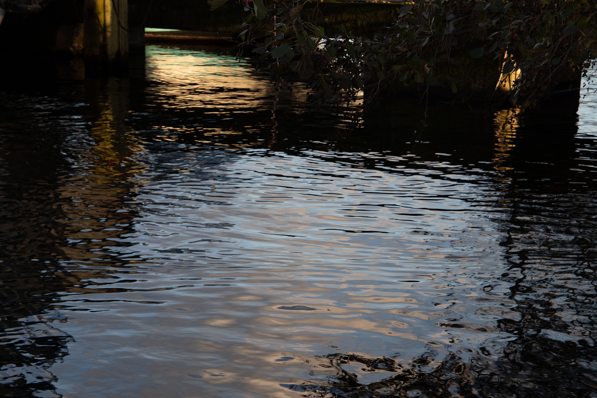 Plätscherndes Wasser, in dem sich Bäume, Äste und Bauwerke spiegeln, mit Flecken von Sonnenlicht und Schatten auf der Wasseroberfläche. (KI generierte Beschreibung)