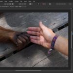 Ein Foto eines Orang-Utans mit ausgestreckter Hand zur Bildbearbeitung geöffnet in Affinity Photo.