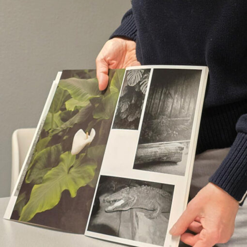 Eine Person hält ein Buch offen, in dem vier Fotos zu sehen sind: eine weiße Blume, Dschungelpflanzen, ein Wald und ein auf Holz ruhender Krokodilskopf. (KI generierte Beschreibung)