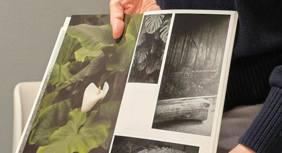 Eine Person hält ein Buch offen, in dem vier Fotos zu sehen sind: eine weiße Blume, Dschungelpflanzen, ein Wald und ein auf Holz ruhender Krokodilskopf. (KI generierte Beschreibung)