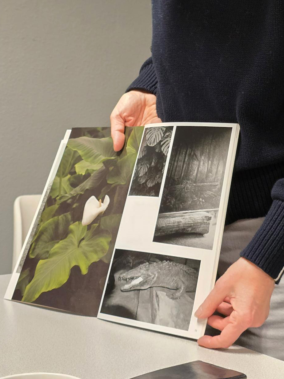 Eine Person hält ein Buch offen, in dem vier Fotos zu sehen sind: eine weiße Blume, Dschungelpflanzen, ein Wald und ein auf Holz ruhender Krokodilskopf. (KI generierte Beschreibung)