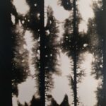 Schwarz-Weiß-Bild von Bäumen, die durch drei hohe Fensterscheiben mit durchscheinendem Licht gesehen werden, wodurch ein verschwommener, kontrastreicher Effekt entsteht. (KI generierte Beschreibung)