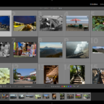 Screenshot der Adobe Lightroom-Benutzeroberfläche, die mehrere Fotos in einer Rasteranordnung anzeigt, mit Anpassungsreglern und Bearbeitungsoptionen auf der rechten Seite. (KI generierte Beschreibung)