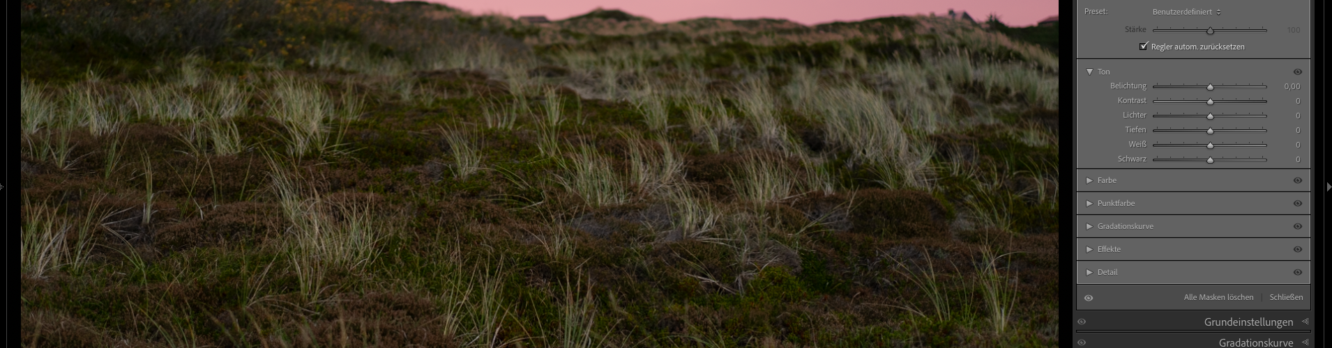 Eine Softwareoberfläche (Lightroom Classic), die ein Foto einer Wiese bei Sonnenuntergang anzeigt, mit Anpassungswerkzeugen auf der rechten Seite zum Bearbeiten des Bildes. (KI generierte Beschreibung)