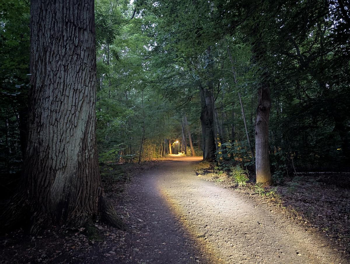 Ein unbefestigter Waldweg in der Abenddämmerung, beleuchtet von einer Straßenlaterne in der Ferne, umgeben von Bäumen und dichtem Laub. (KI generierte Beschreibung)