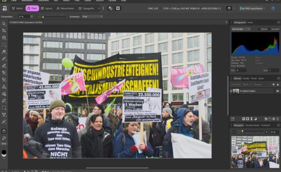 Eine Gruppe von Demonstranten, die bei einer Demonstration Schilder und Transparente mit deutschem Text auf den Schildern halten, in einer städtischen Außenanlage. (KI generierte Beschreibung)