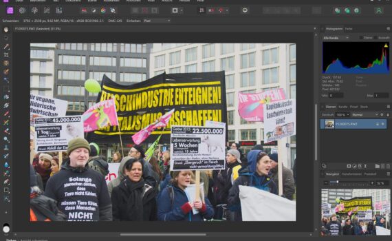 Das Fenster einer Fotobearbeitungssoftware zeigt ein Bild eines Straßenprotests mit Menschen, die Transparente und Schilder in deutscher Sprache halten, vor dem Hintergrund moderner Gebäude. (KI generierte Beschreibung)