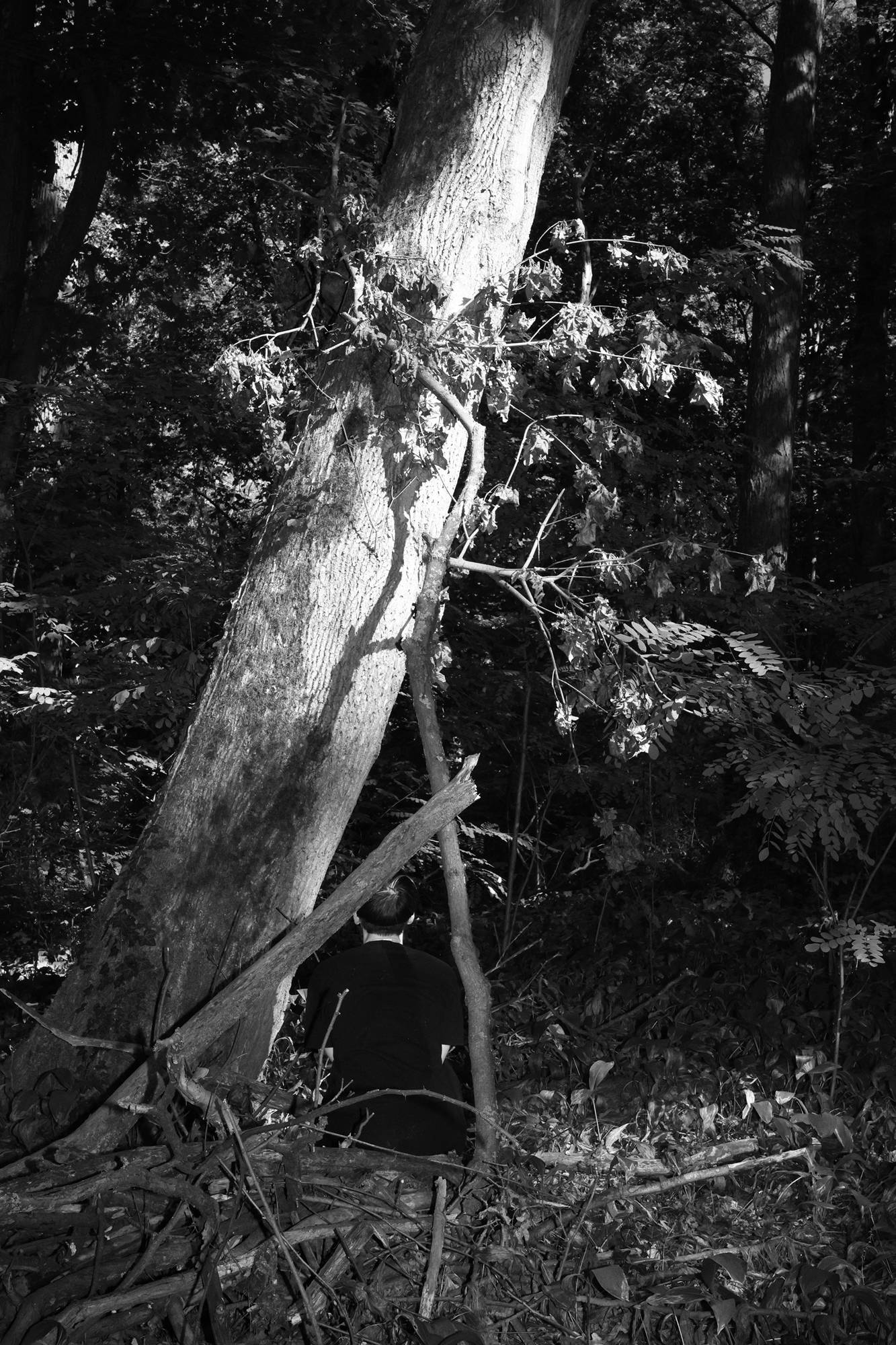 Eine Person in dunkler Kleidung sitzt auf dem Boden in einem Wald, teilweise von einem großen Baumstamm verdeckt und umgeben von Ästen und Laub. (KI generierte Beschreibung)