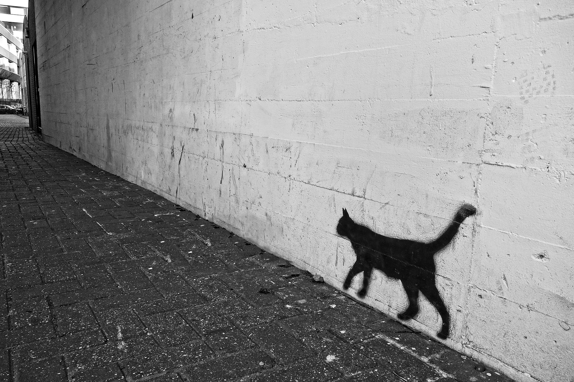 Schwarzes Katzengraffiti auf einer weißen Wand neben einem gepflasterten Gehweg. (KI generierte Beschreibung)