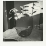 Auf einer mit Stoff bezogenen Fläche steht eine durchsichtige Glasflasche, hinter der sich die Schatten von Blättern und Ästen an die Wand werfen. (KI generierte Beschreibung)