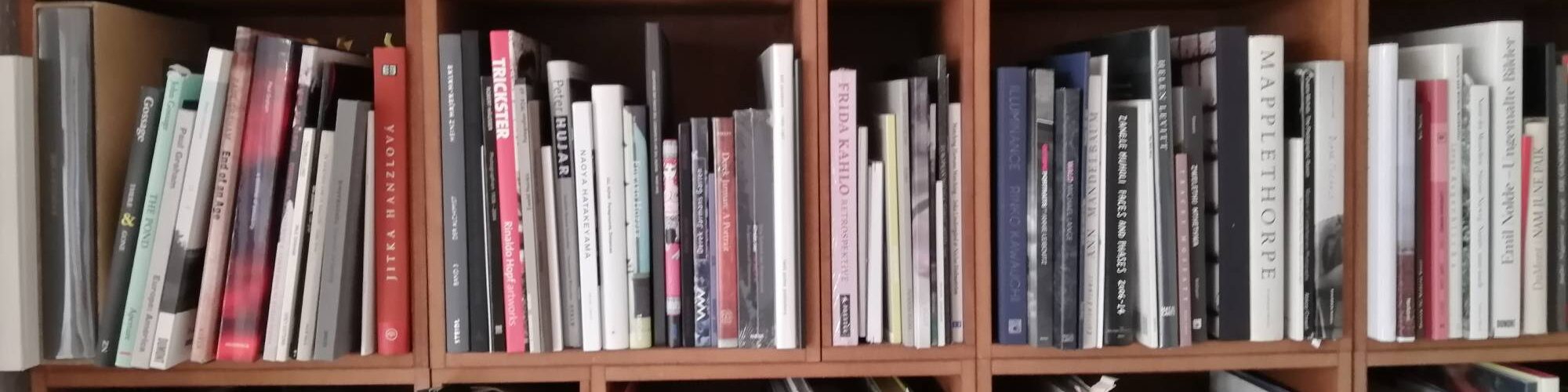 Ein hölzernes Bücherregal mit einer Vielzahl vertikal und horizontal angeordneter Bücher. (KI generierte Beschreibung)
