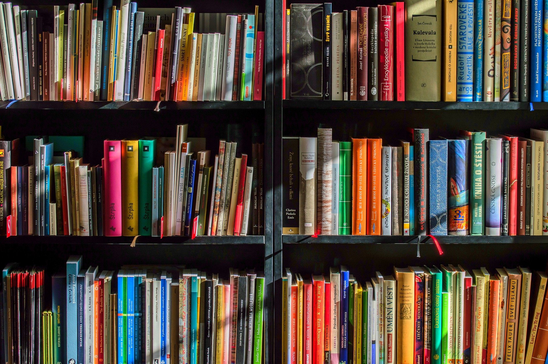 Bücherregale mit einer Vielzahl von Büchern in unterschiedlichen Farben und Größen, ordentlich in zwei Abschnitten angeordnet. (KI generierte Beschreibung)