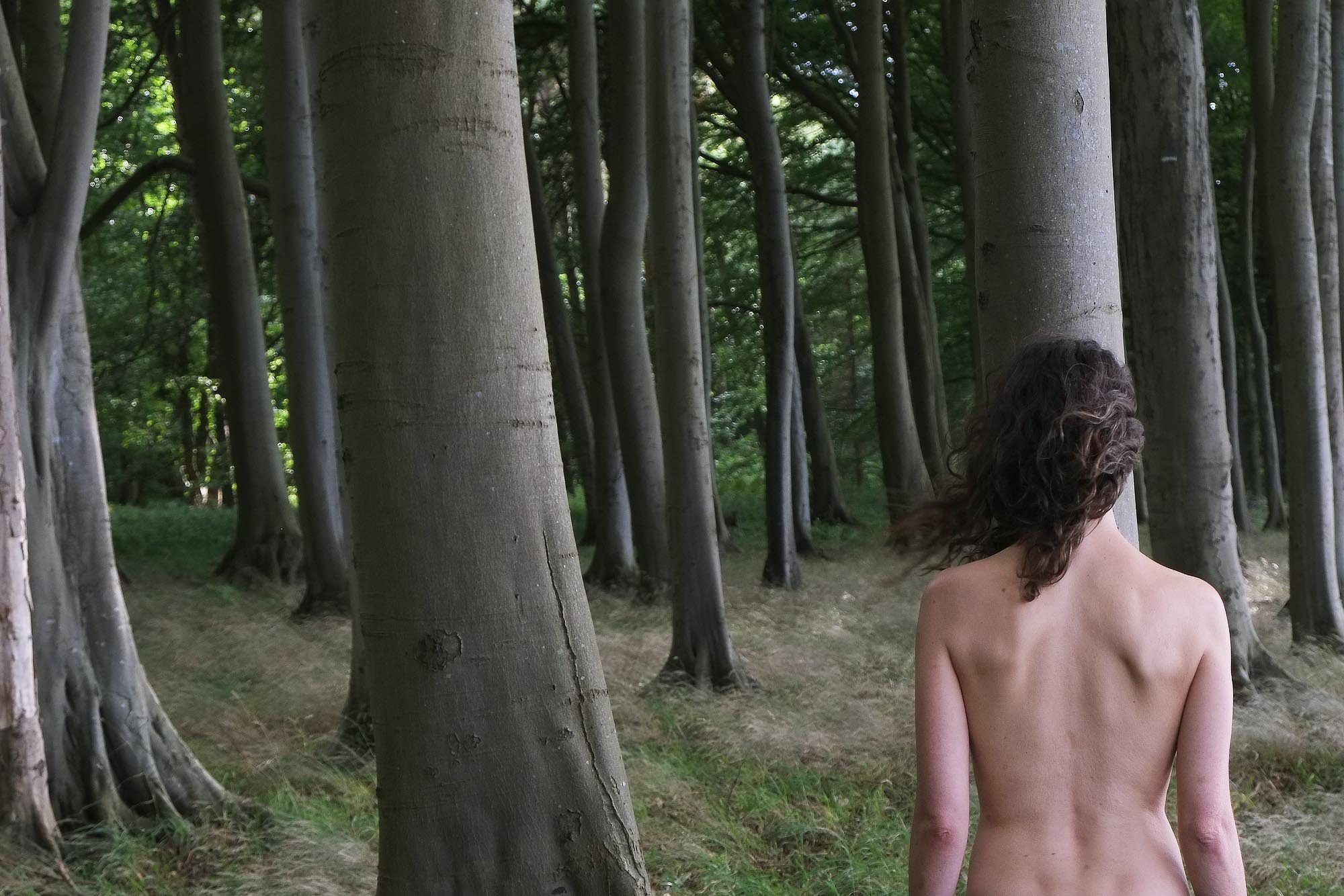 Eine Person mit langen, lockigen Haaren steht oben ohne in einem Wald, umgeben von hohen Bäumen mit glatten Stämmen. (KI generierte Beschreibung)