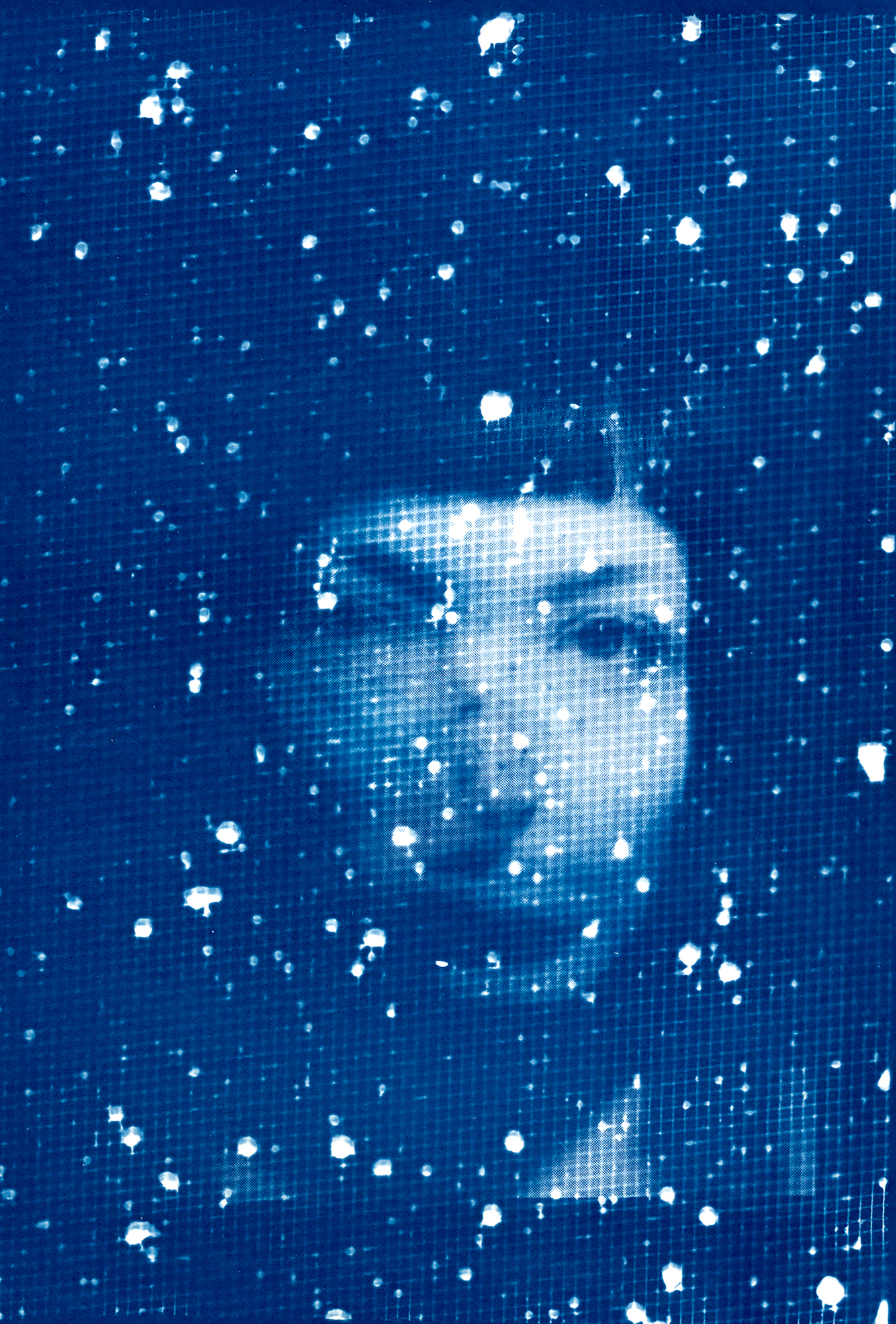 Hinter einem blauen, gitterartigen Bildschirm mit weißen Flecken, die an Schnee oder Farbspritzer erinnern, ist ein verschwommenes Gesicht zu sehen. (KI generierte Beschreibung)
