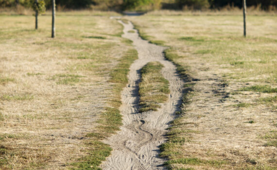 Ein schmaler Feldweg schlängelt sich durch ein grasbewachsenes, trockenes Feld mit ein paar verstreuten Bäumen unter einem klaren Himmel. (KI generierte Beschreibung)