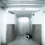 Ein schwarz-weißer Hund liegt auf dem Boden vor einer geschlossenen Aufzugstür in einem hell erleuchteten, industriell anmutenden Flur. (KI generierte Beschreibung)
