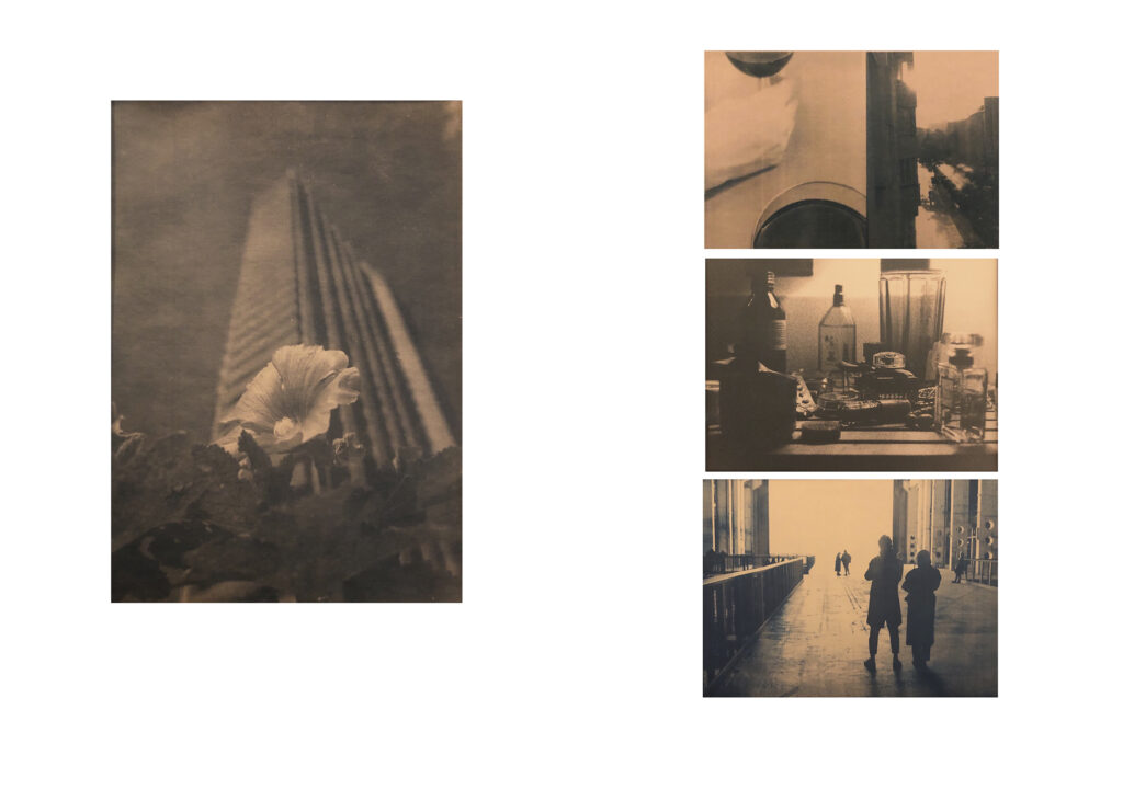 Fünf sepiafarbene Fotografien: eine Blume vor einem Gebäude sowie vier Stadt- oder Innenaufnahmen, darunter Architektur, Möbel und silhouettenhafte Gestalten in einem Flur. (KI generierte Beschreibung)