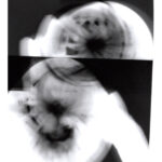 Abstraktes Schwarz-Weiß-Bild mit zwei sich überlappenden kreisförmigen Formen, die unscharf sind und von der Mitte aus strahlen, vor einem dunklen Hintergrund. (KI generierte Beschreibung)