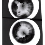 Monochromes Bild von zwei runden Objekten mit abstrakten, wirbelnden Schwarz-Weiß-Mustern, die auf einer reflektierenden Oberfläche platziert sind. (KI generierte Beschreibung)