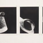 An einer weißen Wand sind drei Schwarz-Weiß-Fotografien eines Keramikkrugs mit Klebeband befestigt; auf jeder ist der Krug aus einem anderen Blickwinkel vor einem dunklen Hintergrund zu sehen. (KI generierte Beschreibung)