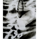 Eine Hand, die eine kleine Muschel hält, ist ins Wasser getaucht; um sie herum sind weiße, wellenförmige Reflexionen und Muster zu sehen. Schwarz-Weiß-Foto. (KI generierte Beschreibung)