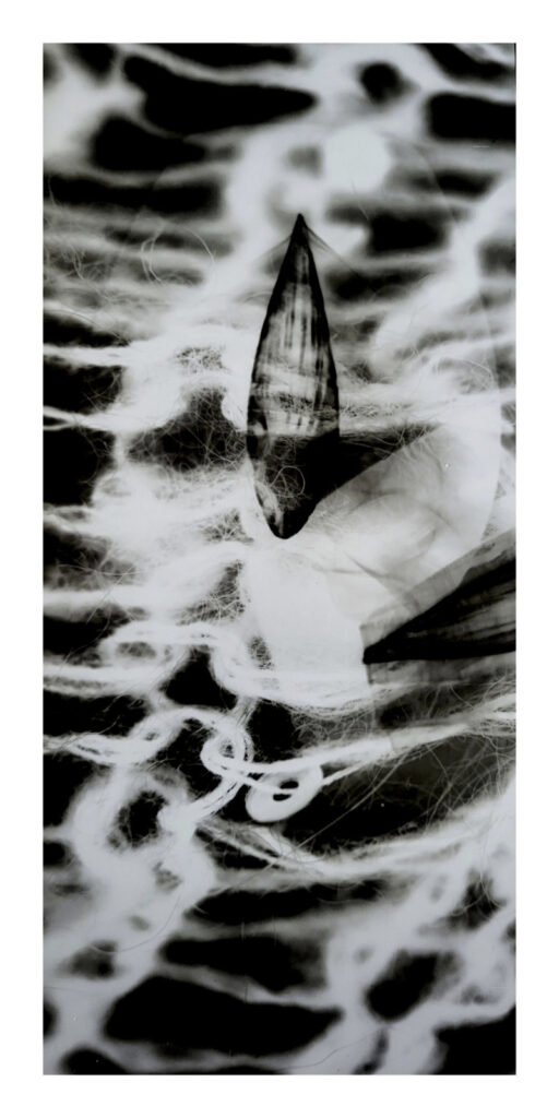 Eine Hand, die eine kleine Muschel hält, ist ins Wasser getaucht; um sie herum sind weiße, wellenförmige Reflexionen und Muster zu sehen. Schwarz-Weiß-Foto. (KI generierte Beschreibung)